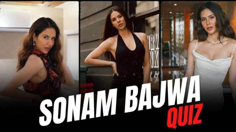 Play This Quiz & Recall Sonam Bajwa's Looks From Her Superhit Movies