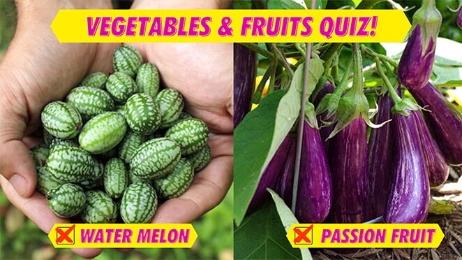 QUIZ: Can You Correctly Guess Names Of All These Fruits And Vegetables?