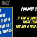 Quiz: If You’ve Done 30 Of These Things, You Are A True Punjabi